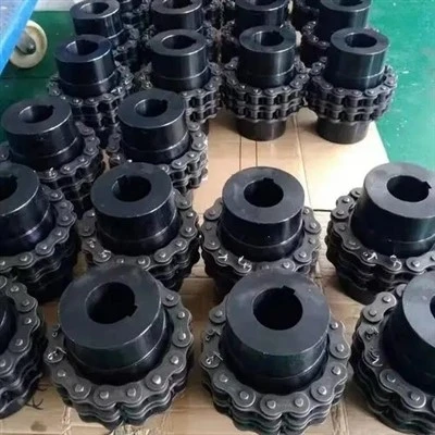 GL Type Chain Coupling